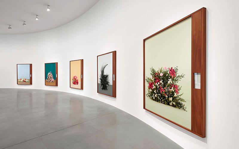 El ADN de la&nbsp;fotografía